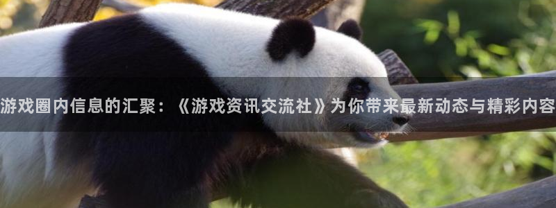 天美娱乐登陆：游戏圈内信息的汇聚：《游戏资讯交流社》为你带来