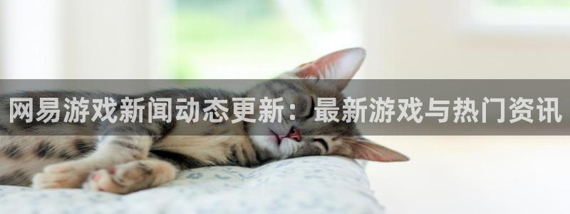 天美娱乐线路测试：网易游戏新闻动态更新：最新游戏与热门资讯